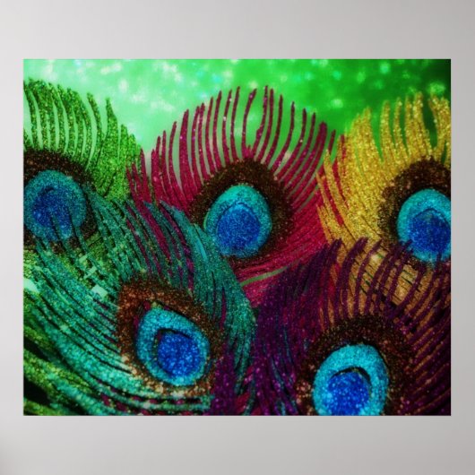 Colorful Peacock Poster (Voorkant)