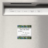 Colorful Peacock sparen de Datum Magneet (Insitu (Vaatwasser))