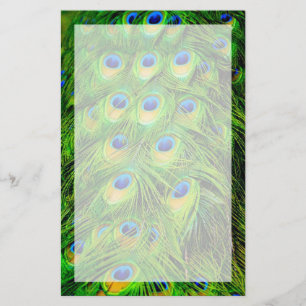 Colorful Peacock Stationery Briefpapier