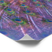 Colorful Peafowl Photo Print Poster Afbeelding (Hoek)