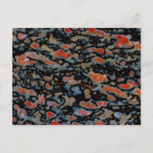 Colorful Petrified Dinosaur Bone Briefkaart