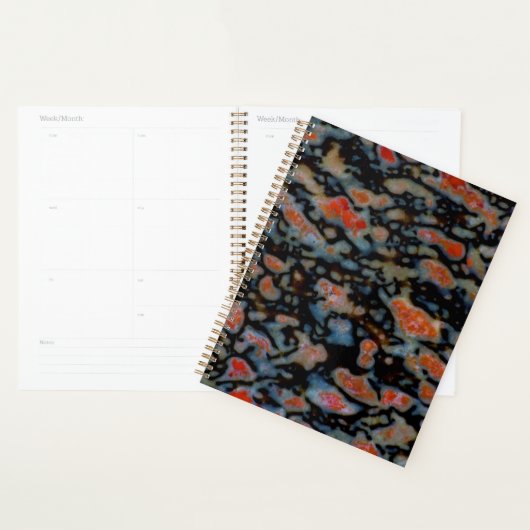 Colorful Petrified Dinosaur Bone Planner (Display)