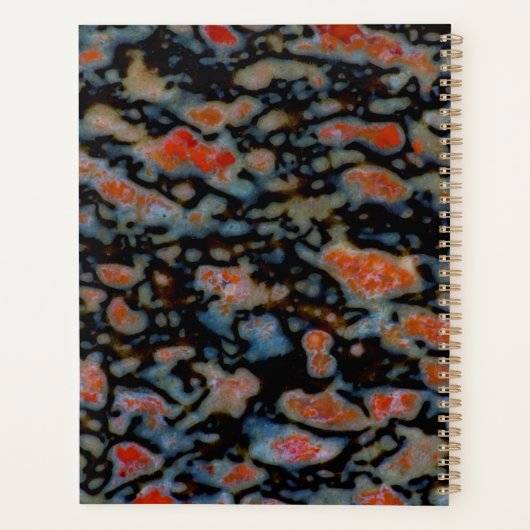 Colorful Petrified Dinosaur Bone Planner (Achterkant)