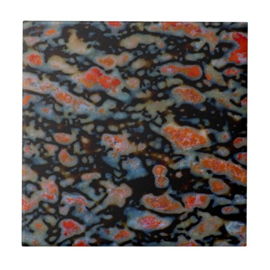 Colorful Petrified Dinosaur Bone Tegeltje (Voorkant)