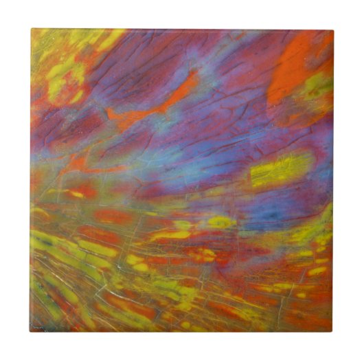 Colorful Petrified Wood close-up Tegeltje (Voorkant)