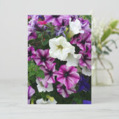 Colorful Petunias Blank Kaart (Staand voorkant)