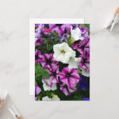 Colorful Petunias Blank Kaart (Voorkant / Achterkant in situ)