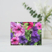 Colorful Petunias Briefkaart (Staand voorkant)