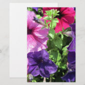 Colorful Petunias Briefpapier (Voorkant / Achterkant)
