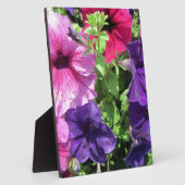 Colorful Petunias Fotoplaat (Zijkant)