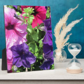 Colorful Petunias Fotoplaat (Zijkant)