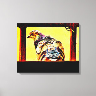 Colorful Pigeon Canvas Afdruk