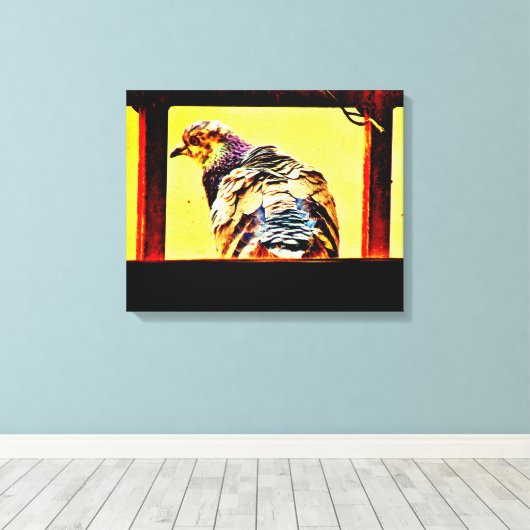 Colorful Pigeon Canvas Afdruk (Insitu (Houten vloer))