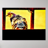 Colorful Pigeon Poster (Voorkant)
