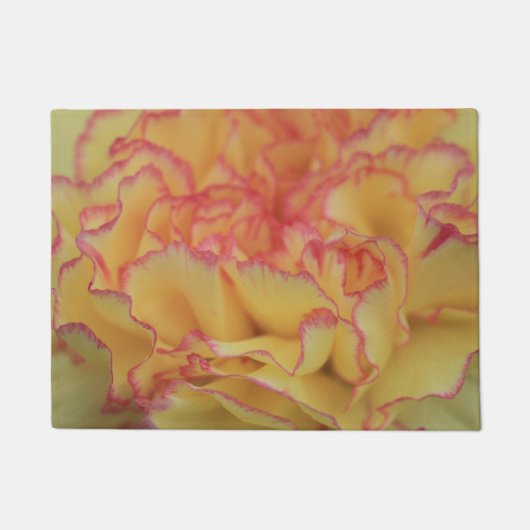 Colorful Pink and Yellow Carnation Flower Deurmat (Voorkant)