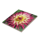 Colorful Pink Cactus Dahlia Bloom Floral Tegeltje (Zijkant)