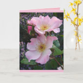 Colorful Pink Sparrieshoop Roos Greetings Kaart (Gele Bloem)
