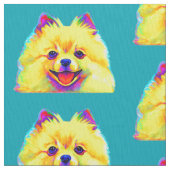Colorful Pomeranian Stof (Close Up)