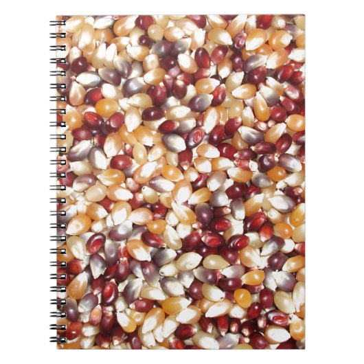 Colorful Popcorn Kernels Notitieboek (Voorkant)