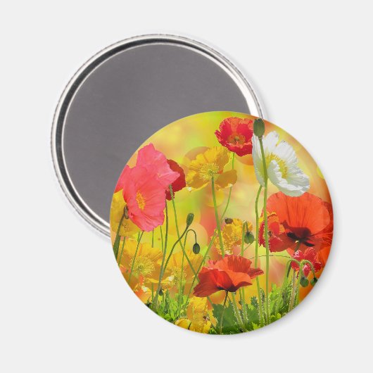 Colorful Poppies Magneet (Voorkant / Achterkant)