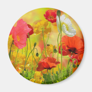 Colorful Poppies Magneet