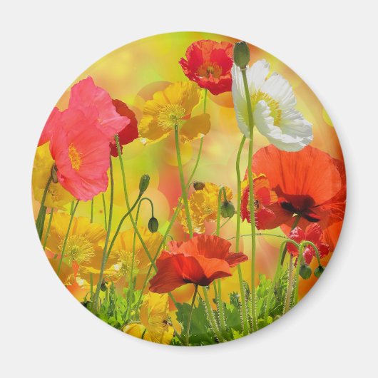 Colorful Poppies Magneet (Voorkant)