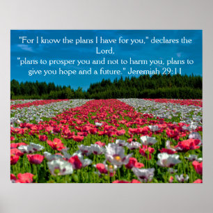 Colorful Poppy Field Foto Bijbel Verse Poster