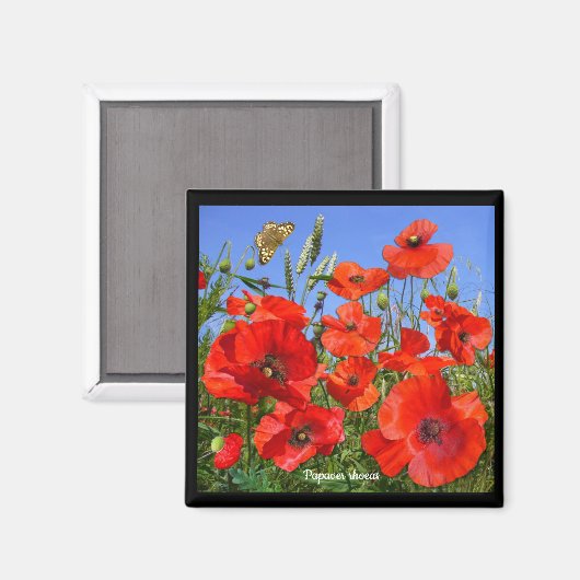 Colorful Poppy Field Magneet (Voorkant / Achterkant)