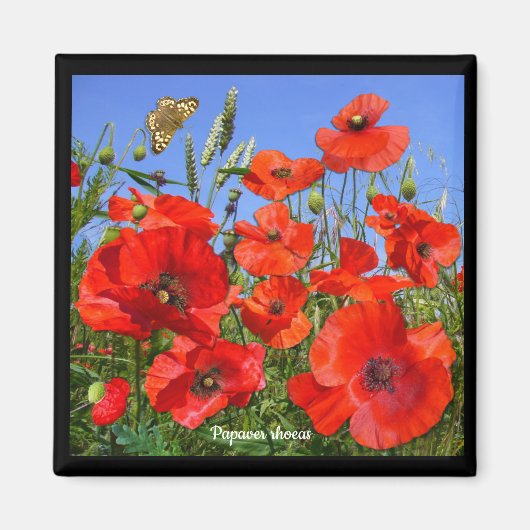 Colorful Poppy Field Magneet (Voorkant)