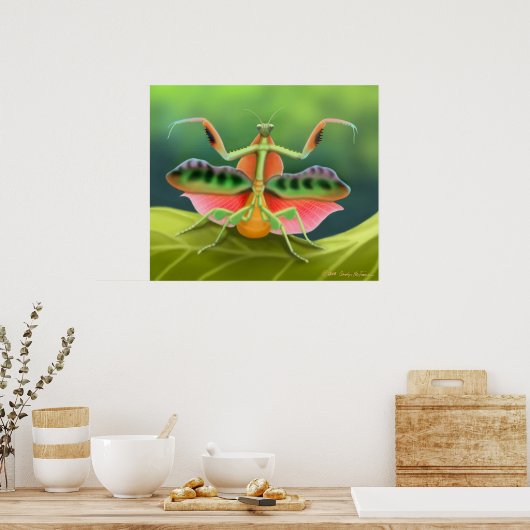 Colorful Praying Mantis Bug Poster (Keuken)