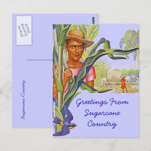 COLORFUL PROMO TRAVEL SUGARCANE HARVEST BRIEFKAART (Voorkant / Achterkant)