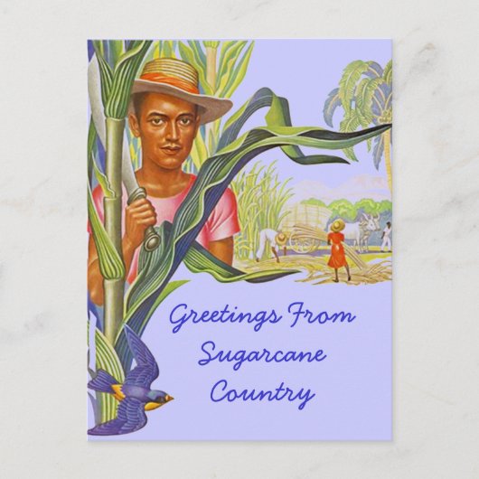 COLORFUL PROMO TRAVEL SUGARCANE HARVEST BRIEFKAART (Voorkant)