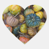 Colorful Pumpkin Stickers (Voorkant)