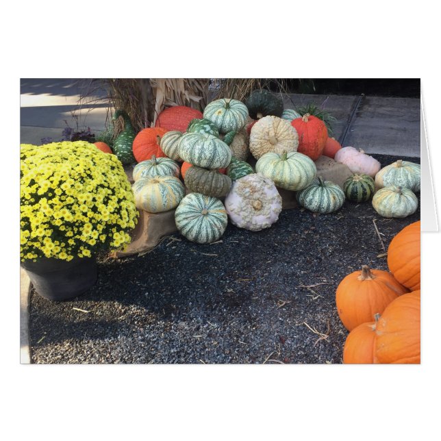 Colorful Pumpkins (Voorkant Horizontaal)