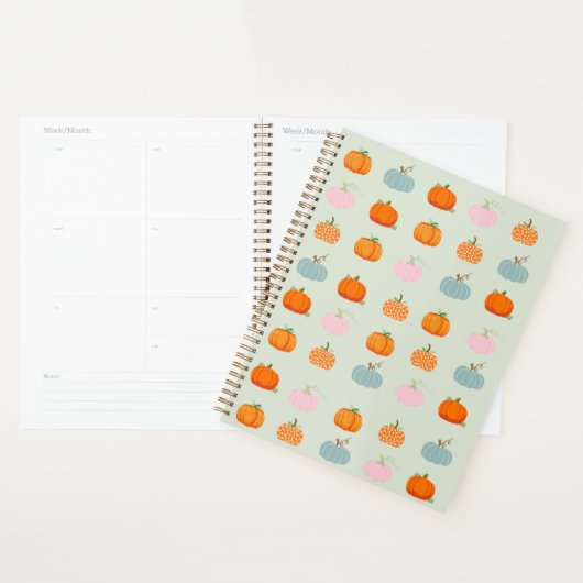 Colorful Pumpkins Planner (Display)