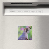 Colorful Quail Magneet (Insitu (Vaatwasser))