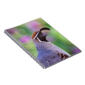 Colorful Quail Notitieboek (Rechterzijde)