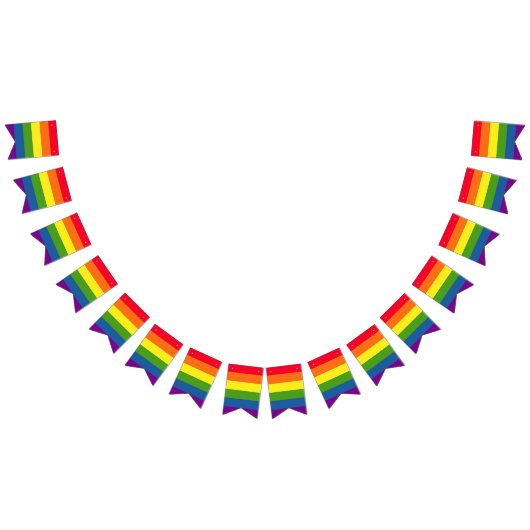 Colorful Rainbow Flag Gay Pride Vlaggetjes (Alle)