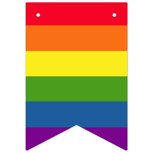 Colorful Rainbow Flag Gay Pride Vlaggetjes (Tweede vlag)