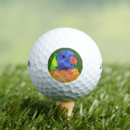Colorful Rainbow Loriket Parrot Foto Golfballen