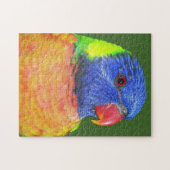 Colorful Rainbow Loriket Parrot Foto Legpuzzel (Horizontaal)