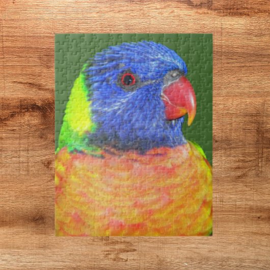 Colorful Rainbow Loriket Parrot Foto Legpuzzel