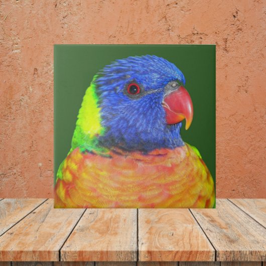 Colorful Rainbow Loriket Parrot Foto Tegeltje