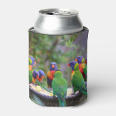 Colorful Rainbow Loriket Parrots Eating Blikjeskoeler (Blikje Voorkant)