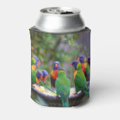 Colorful Rainbow Loriket Parrots Eating Blikjeskoeler (Blikje Achterkant)