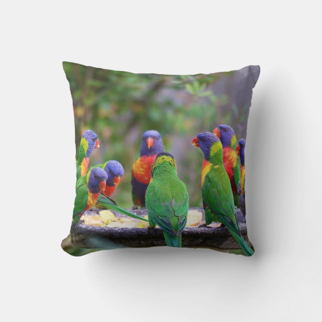 Colorful Rainbow Loriket Parrots Eating Kussen (Voorkant)