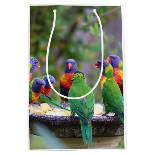 Colorful Rainbow Loriket Parrots Eating Medium Cadeauzakje (Voorkant)