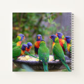 Colorful Rainbow Loriket Parrots Eating Notitieboek (Achterkant)