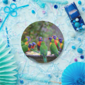Colorful Rainbow Loriket Parrots Eating Papieren Bordje (Feest)