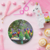 Colorful Rainbow Loriket Parrots Eating Papieren Bordje (Feest)